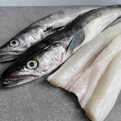 Classic Hake Bulk Box | Frozen Box | Wild caught | 5kg