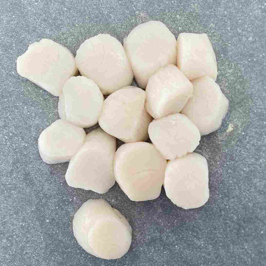 Large Scallops Entrée | Frozen Box | Wild caught | 300g