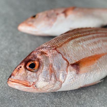 Yellowtail & Silverfish | Fresh Fish Box Combo