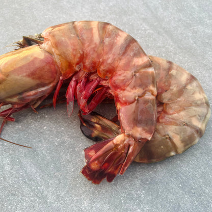 Giant Tiger Prawns | Frozen Box | Wild caught | x6 | 700g