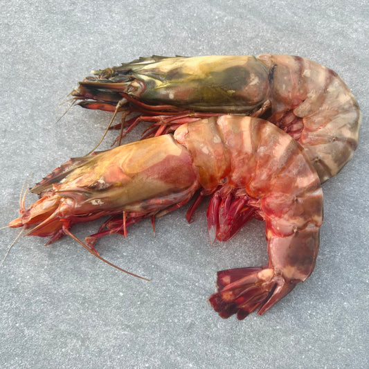 Giant Tiger Prawns | Frozen Box | Wild caught | x5 | 800g