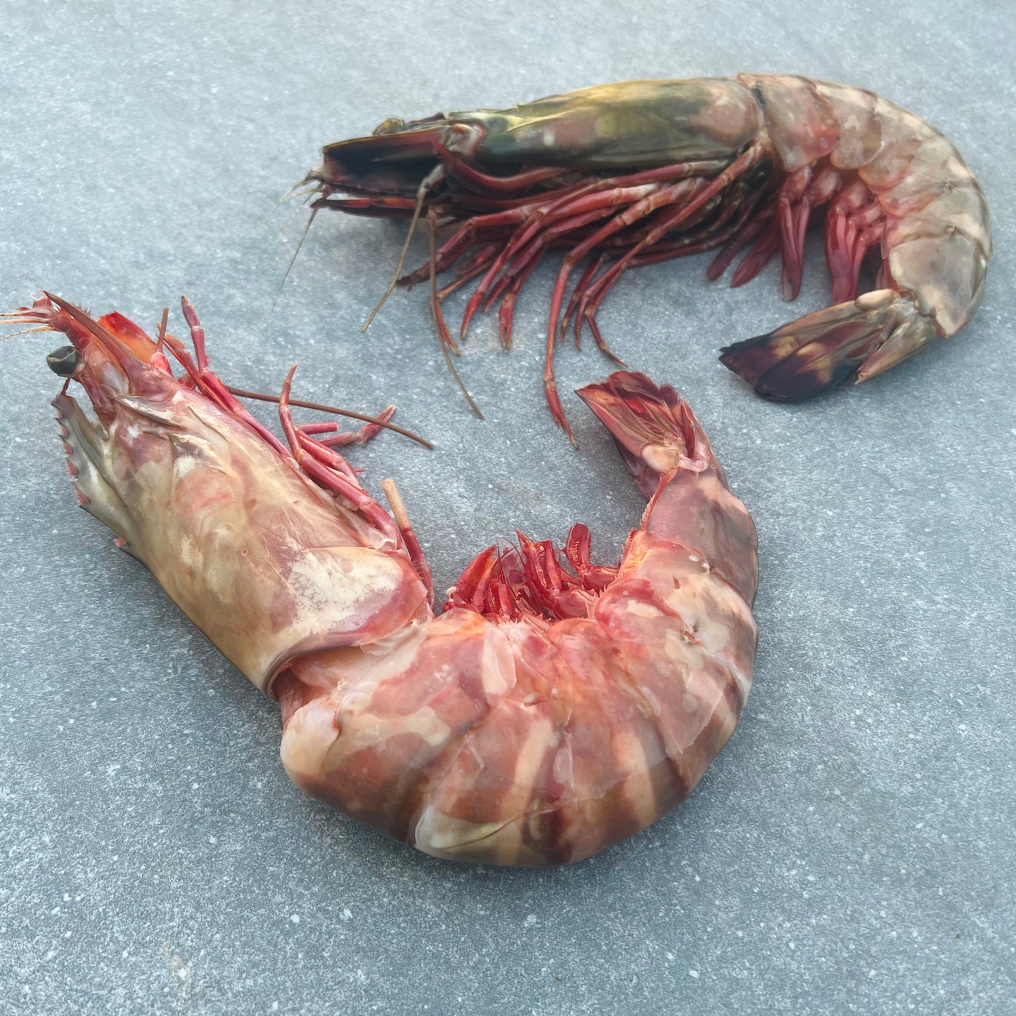 Giant Tiger Prawns | Frozen Box | Wild caught | x6 | 700g