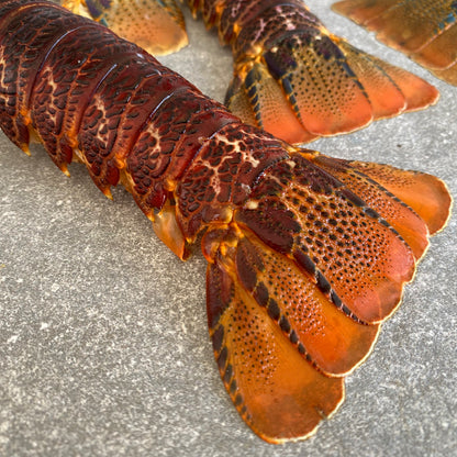 Crayfish Tails | Extra Large | Frozen Box | Wild Caught | x8