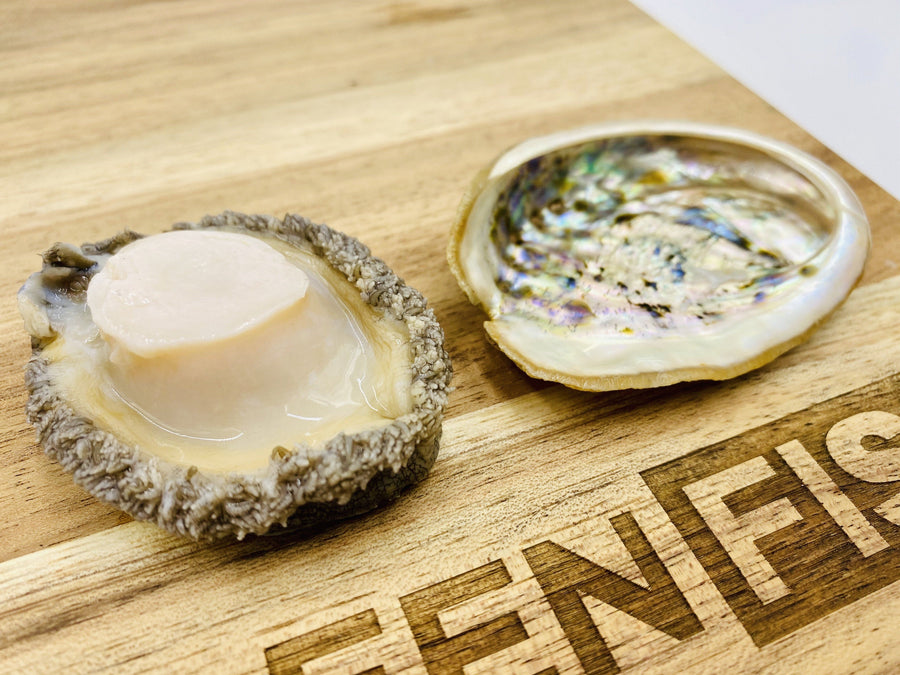 Perlemone Abalone (perlemoen) | Live Box | Cultivated | x6 – Greenfish