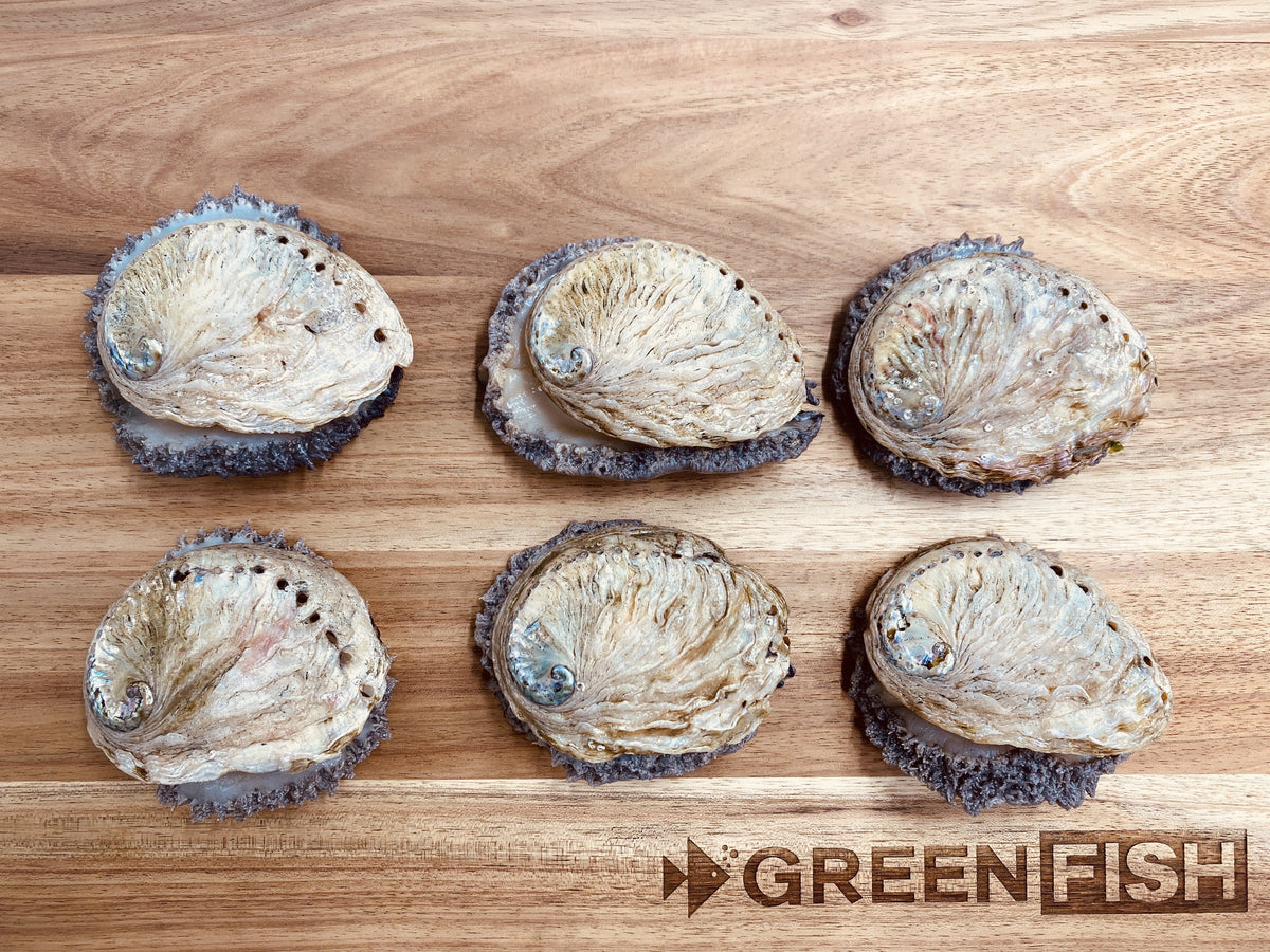 Abalone (perlemoen) | Live Box | Cultivated | x6 – Greenfish