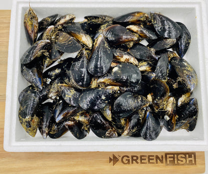  Greenfish