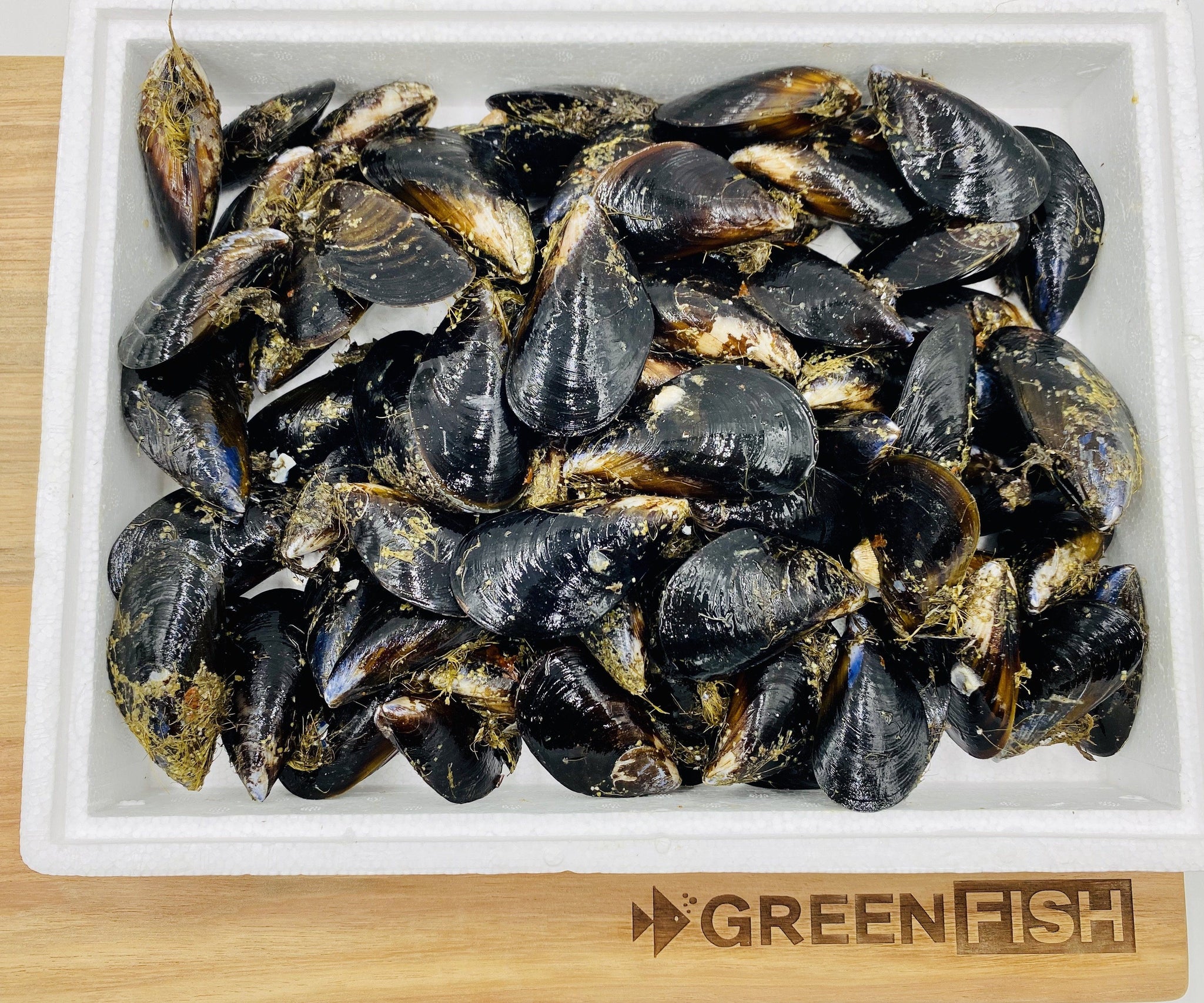 Black Mussels Live Box Cultivated 2.3kg Greenfish