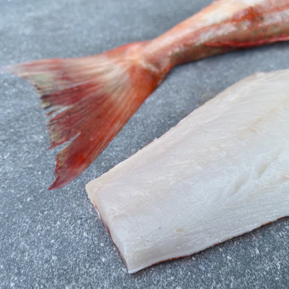 Cape Gurnard Fillets | Fresh Fish Box | Caught off Cape Point