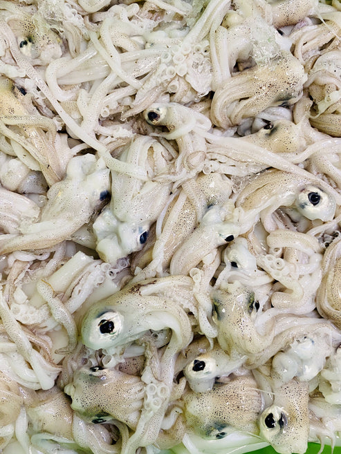 Choukka Fish Chokka | Calamari | Frozen Box | 1.0kg | Wild caught – Greenfish