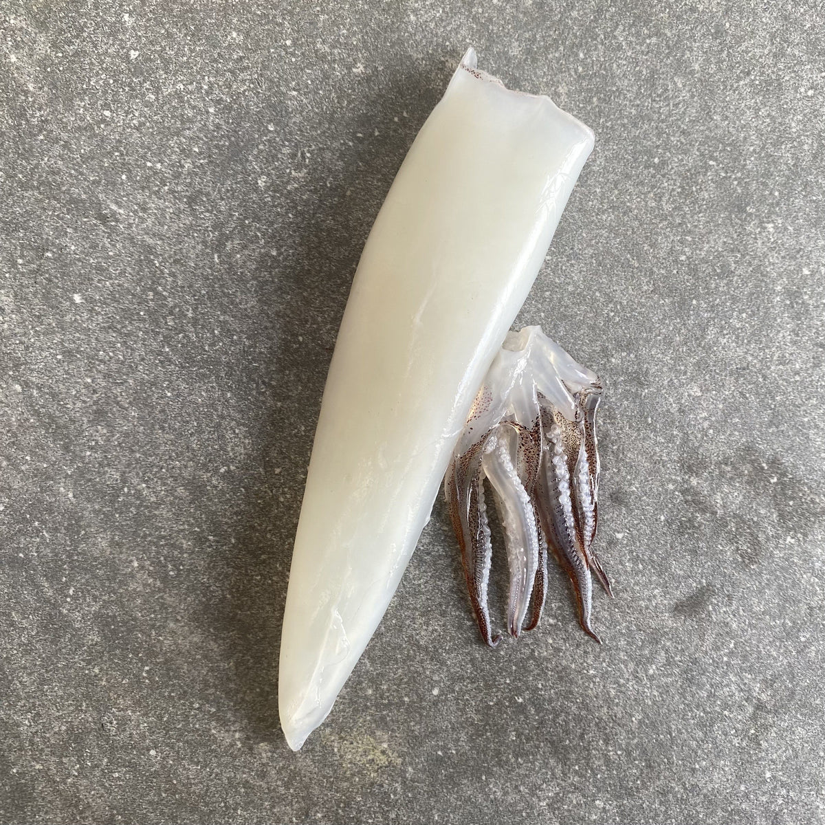 Choukka Fish Chokka | Calamari | Frozen Box | 1.0kg | Wild caught – Greenfish