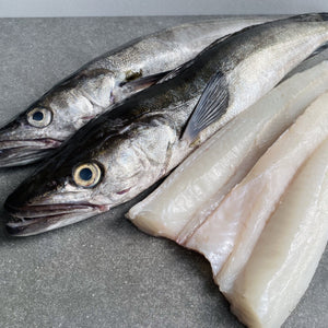 Greenfish