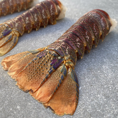 Crayfish Tails |Frozen Box | Wild Caught | X12