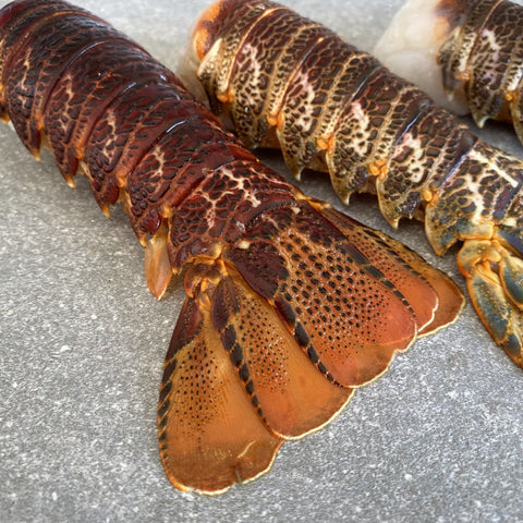 Crayfish Tails | Large | Frozen Box | Wild Caught | X10