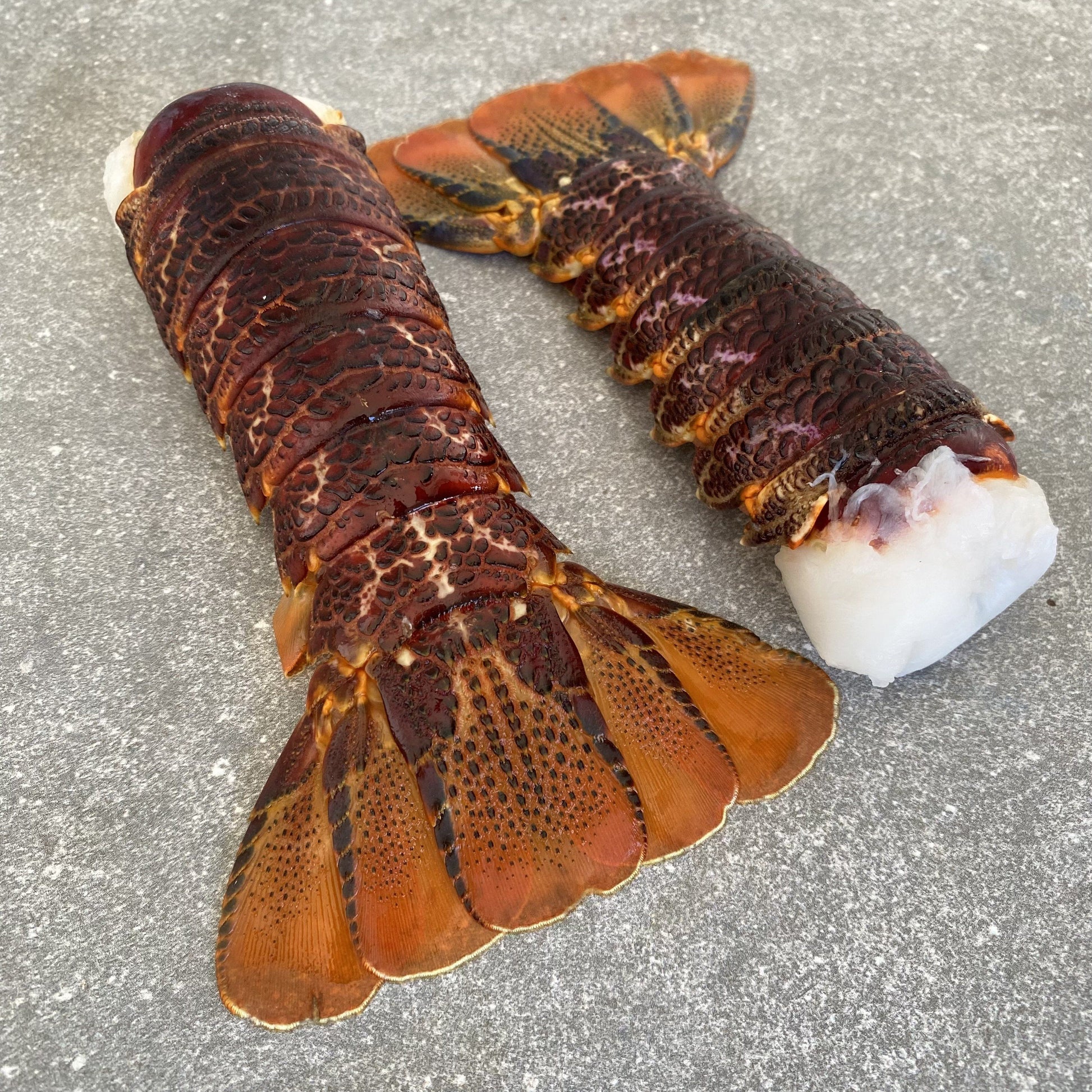 Crayfish Tails | Large | Frozen Box | Wild Caught | X10