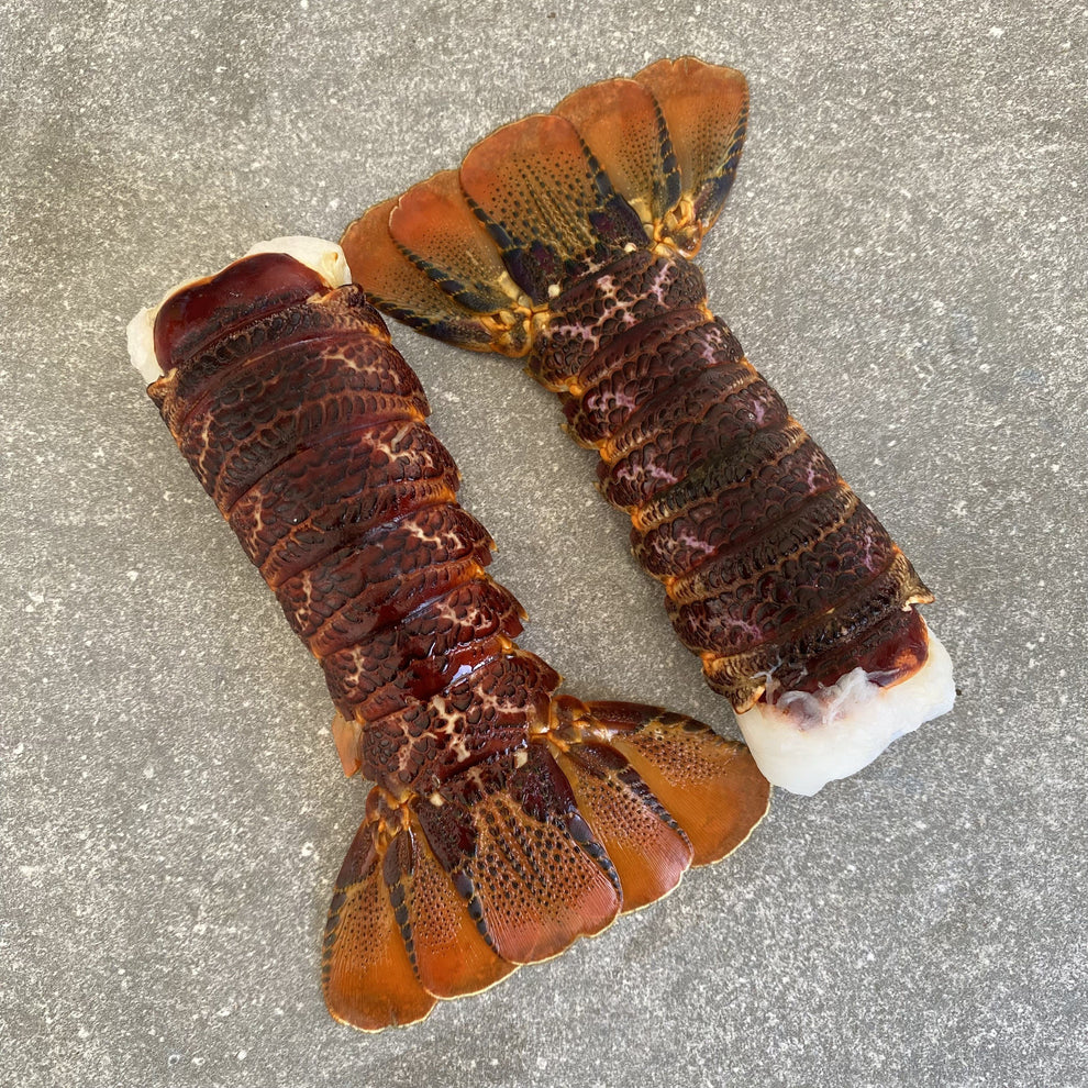 West Coast Crayfish Tails | Large | Frozen Box | Wild Caught | x10 ...