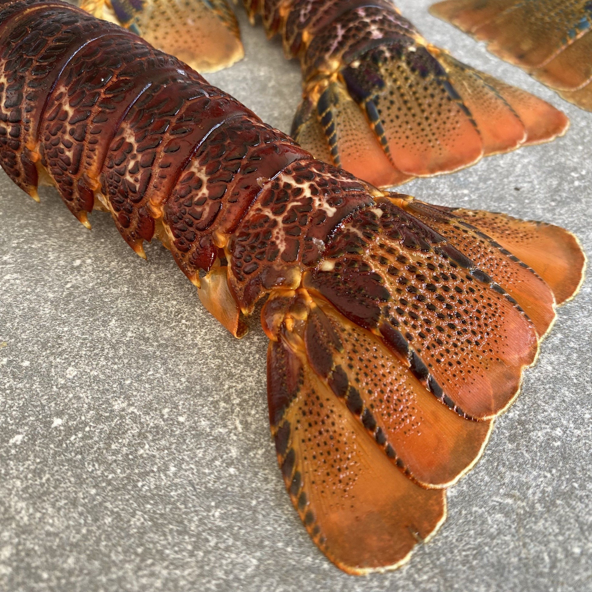 Crayfish Tails | Large | Frozen Box | Wild Caught | X10