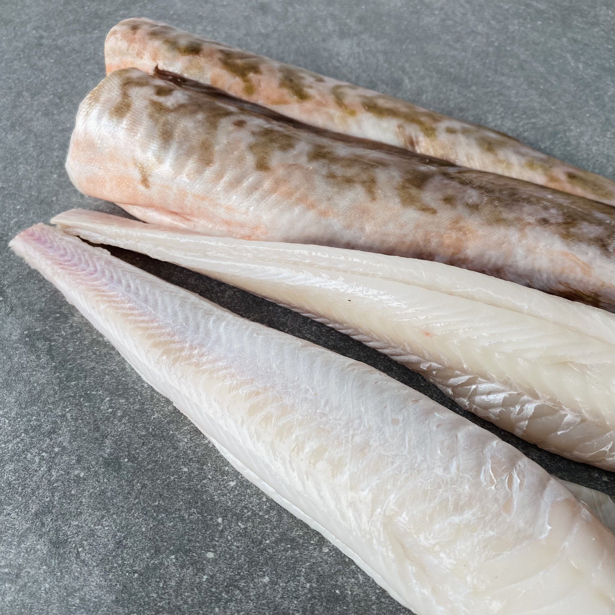 Dressed Baby Kingklip x4 Caught off Cape Point Greenfish