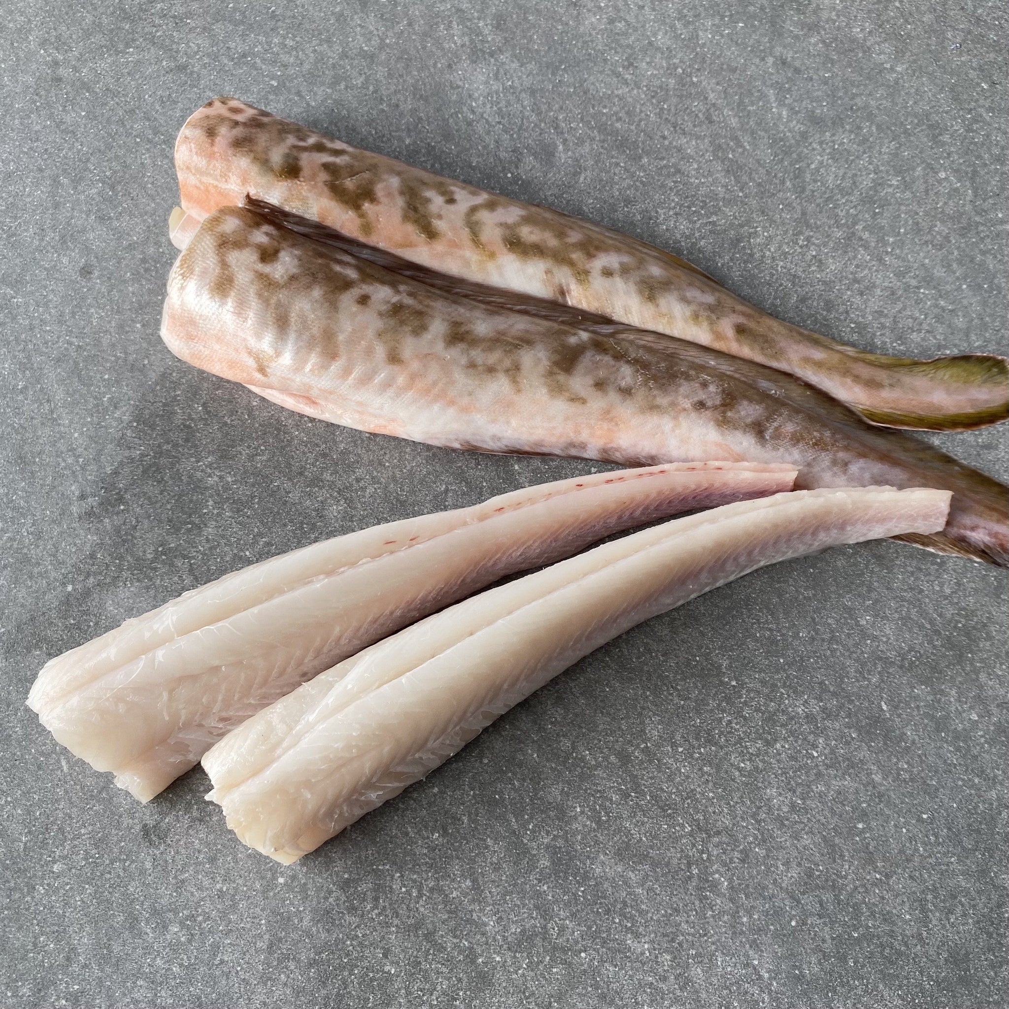 Dressed Baby Kingklip x4 Caught off Cape Point Greenfish