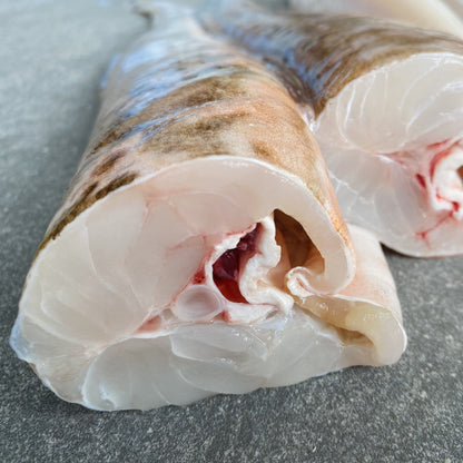 Dressed Baby Kingklip | On The Bone | X4 | Caught Off Cape Point