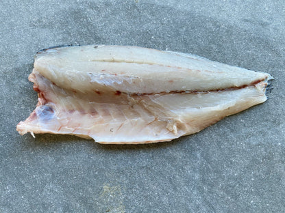  Greenfish