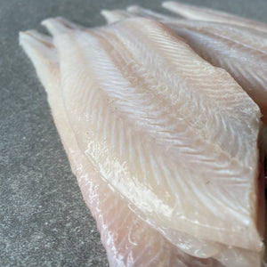  Greenfish