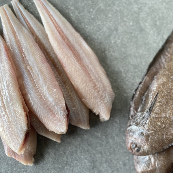 East Coast Sole | Frozen Box | Wild caught | x2 | 500g-600g – Greenfish
