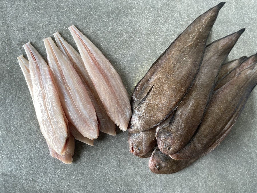 East Coast Sole Frozen Box Wild caught x2 Greenfish