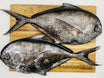 Angel Fish Fillets | Fresh Fish Box | Caught off Cape Point – Greenfish