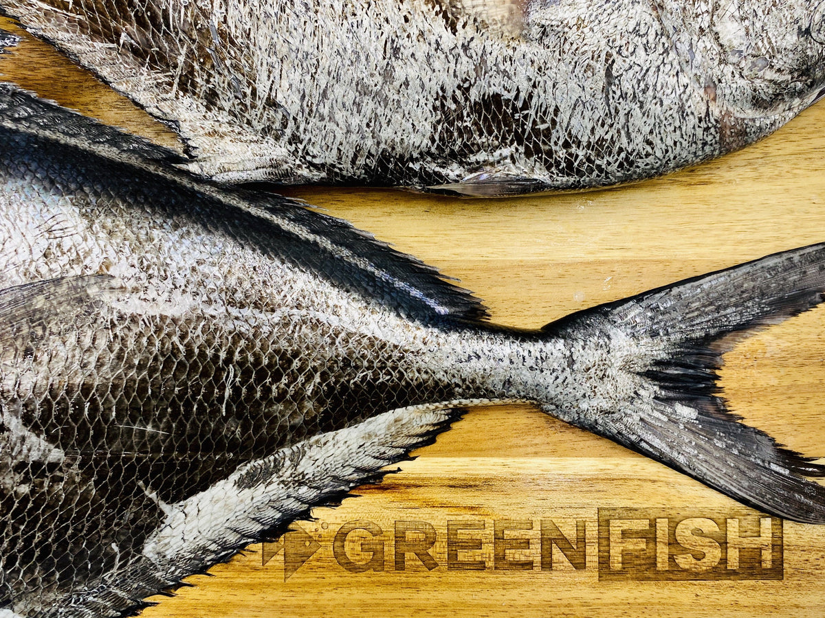 Angel Fish Fillets | Fresh Fish Box | Caught off Cape Point – Greenfish
