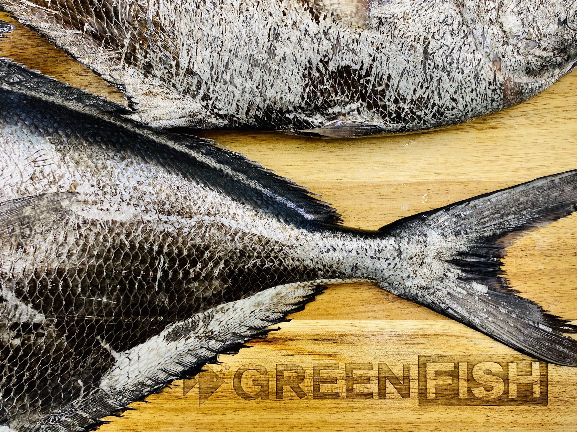  Greenfish
