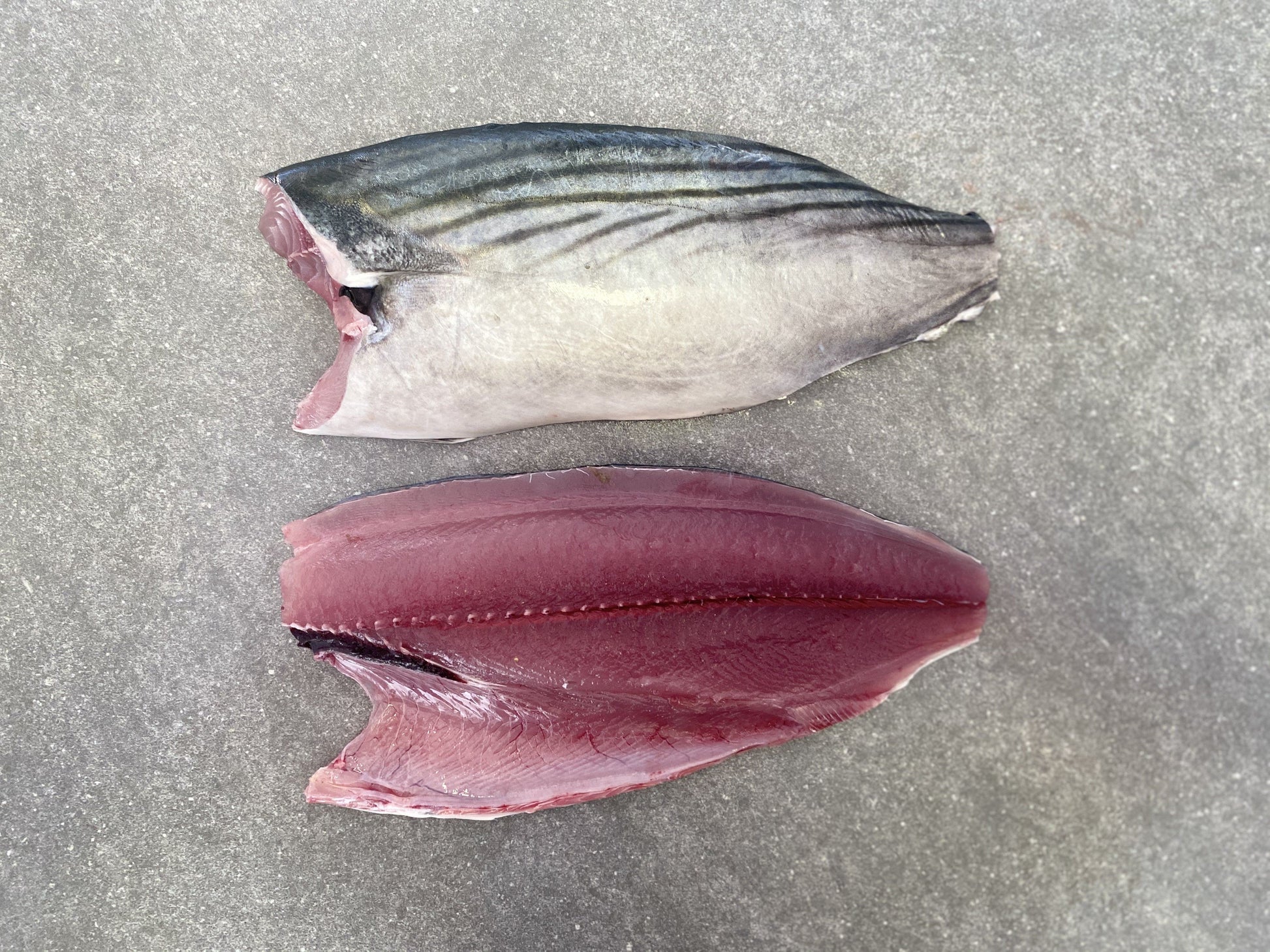  Greenfish