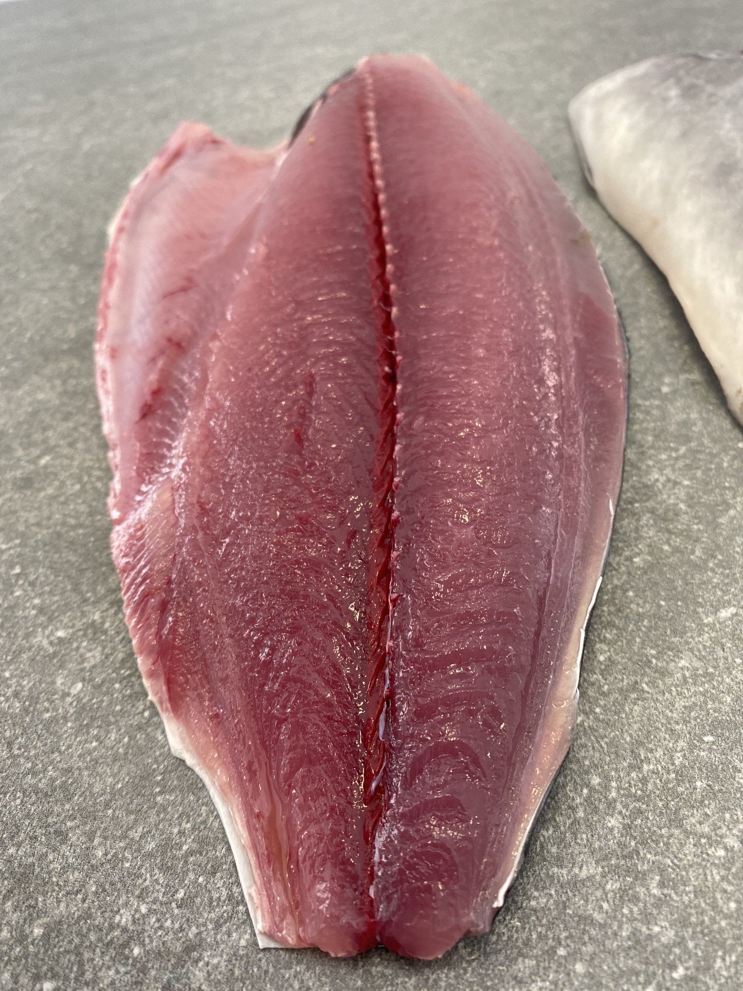  Greenfish
