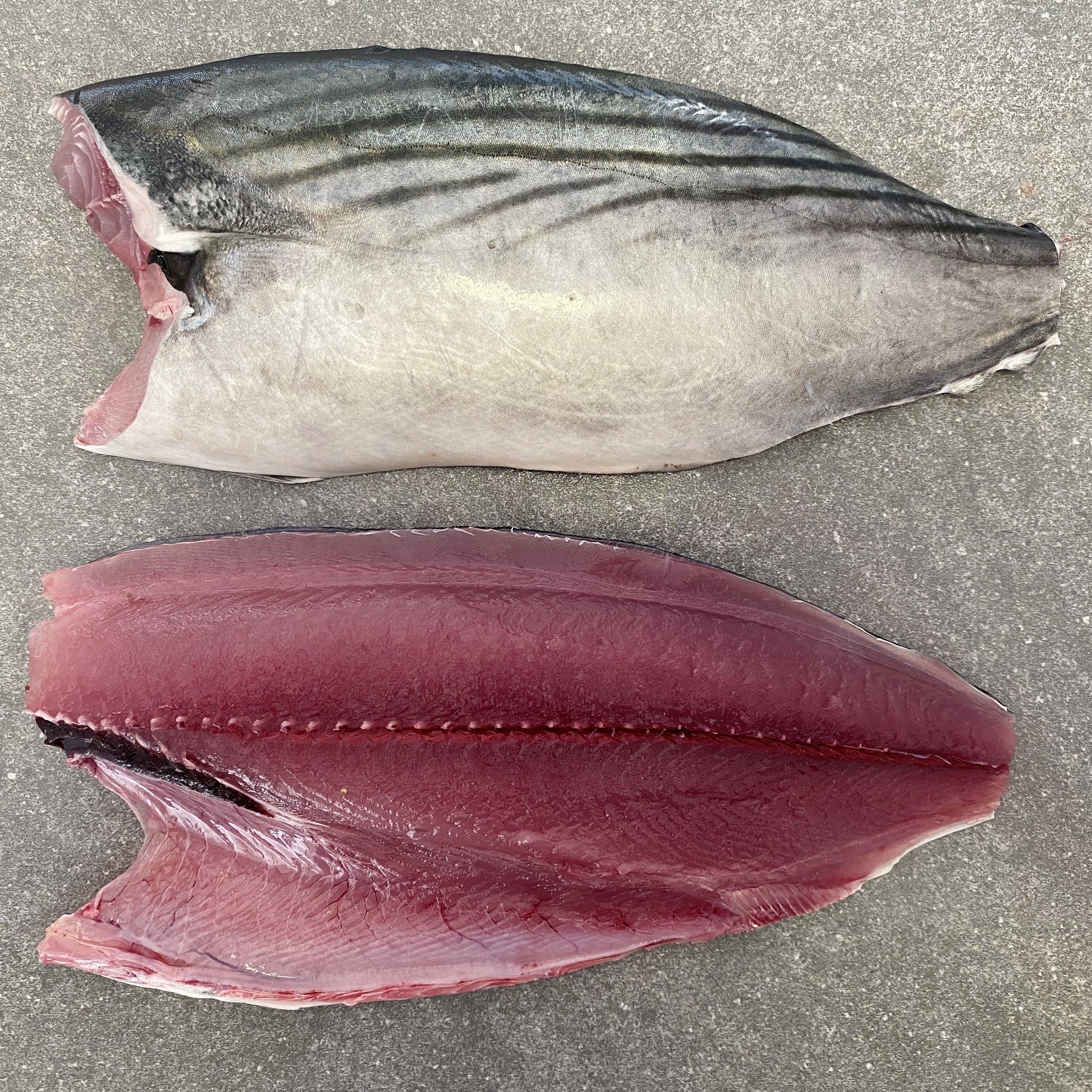  Greenfish
