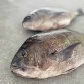 Greenfish Boxes - Fish Boxes