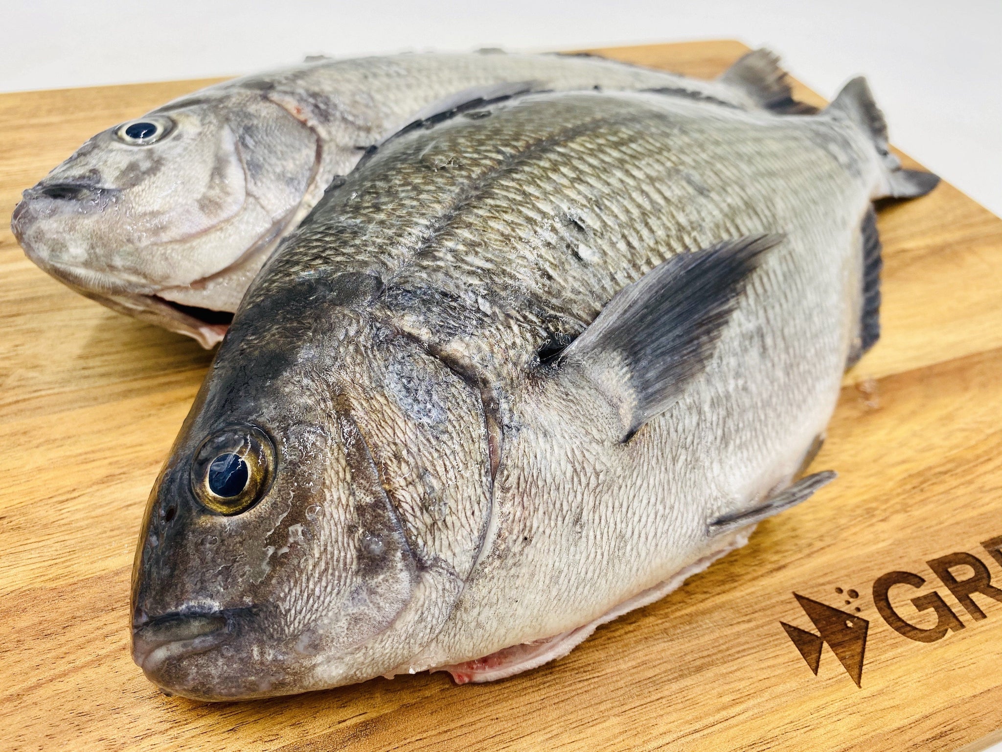 Fish Breamer Cape Bream | Fresh Fish Box | Caught in Table Bay – Greenfish