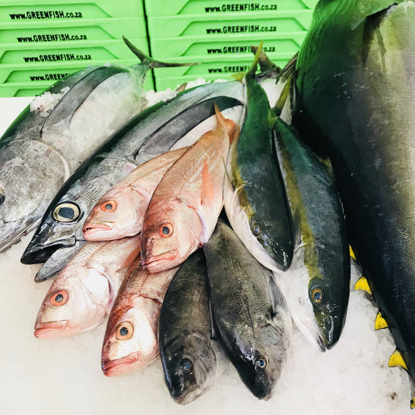 Cape Bream Fresh Fish Box Caught in Table Bay Greenfish