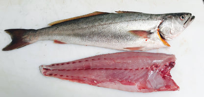  Greenfish