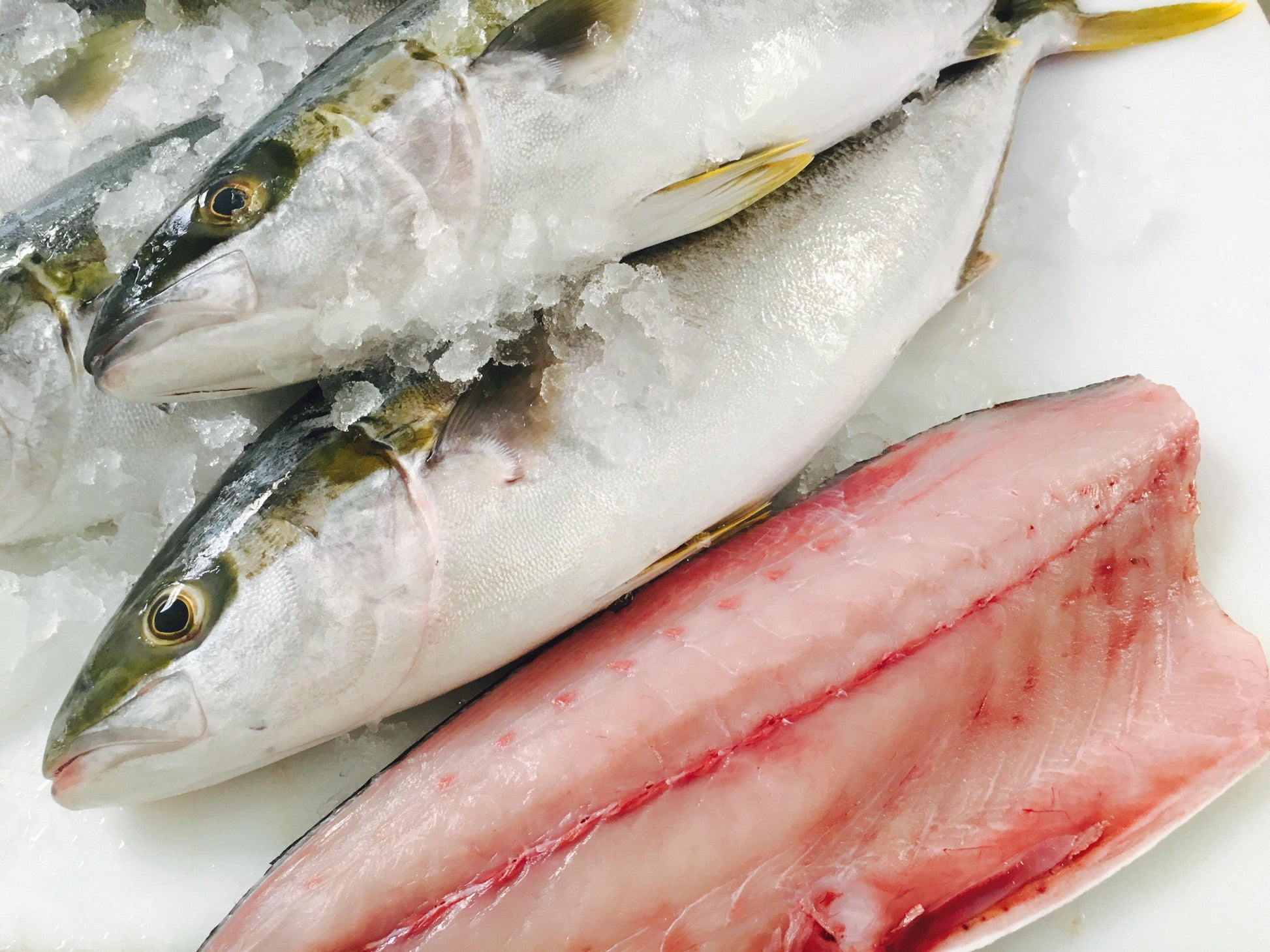  Greenfish