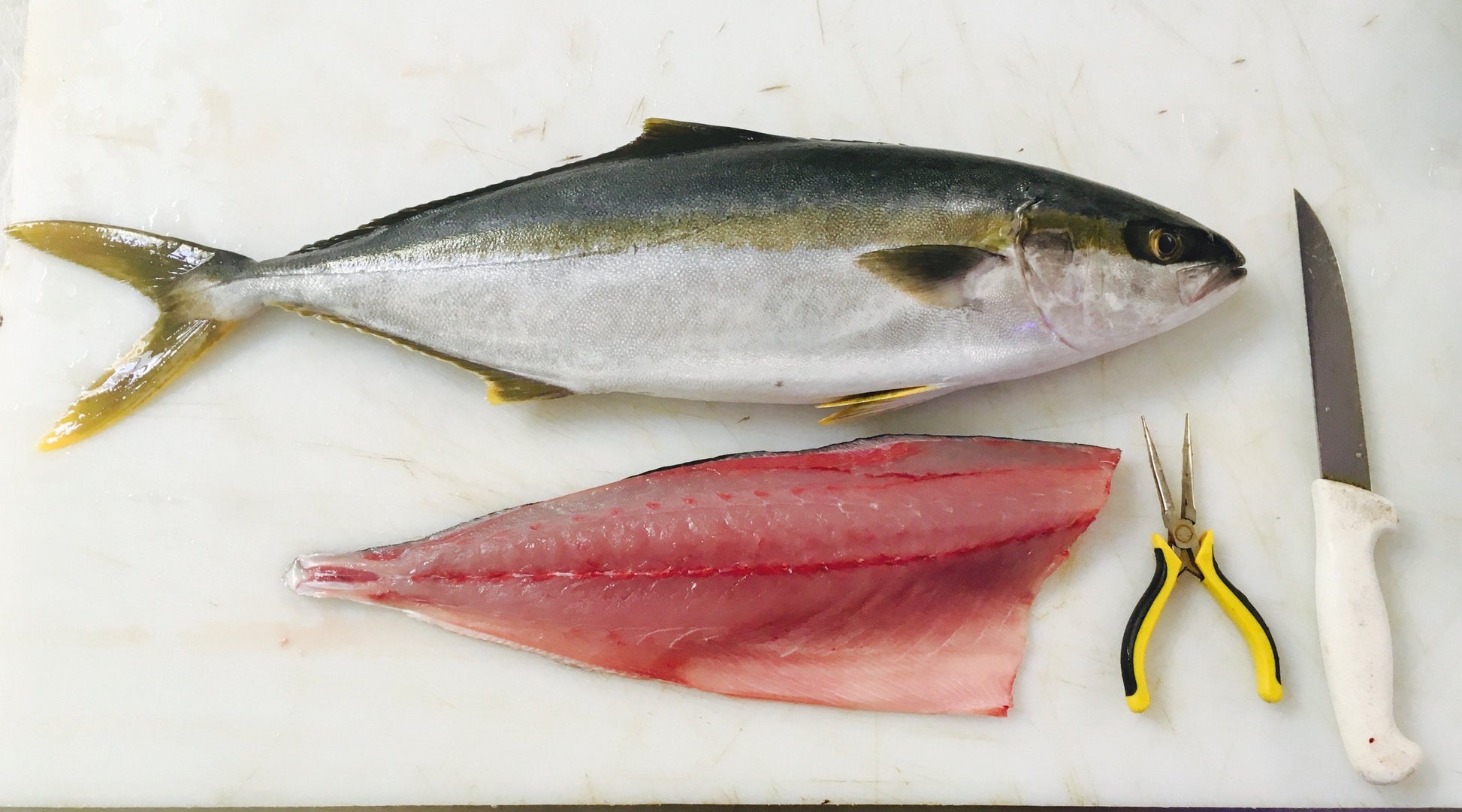  Greenfish