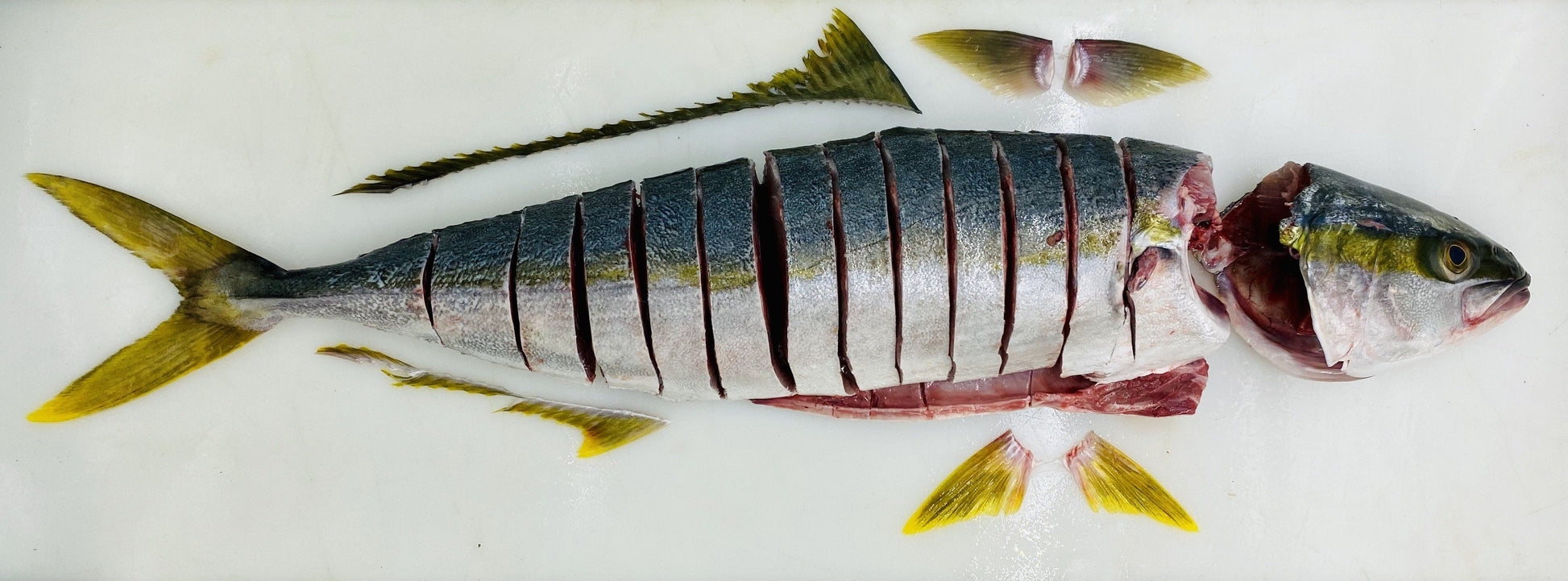  Greenfish