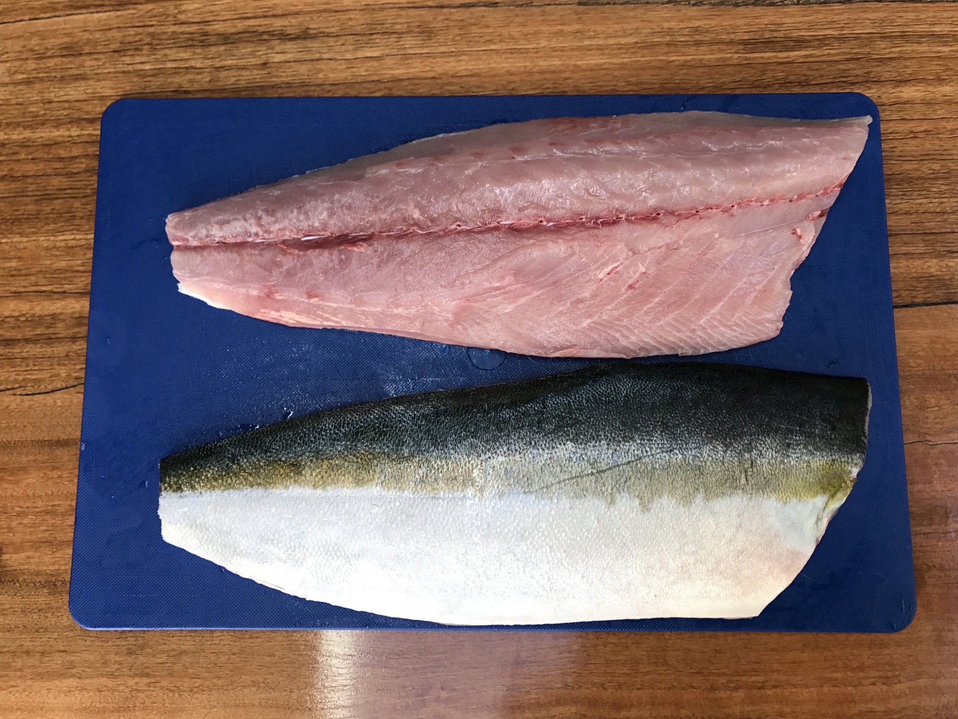  Greenfish