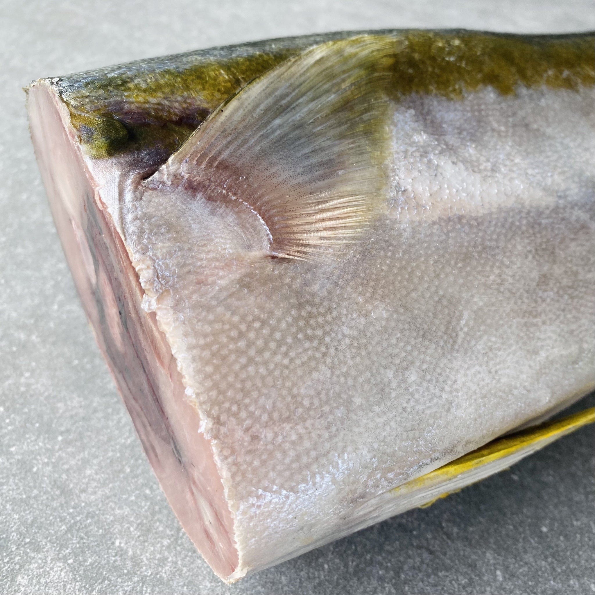 Frozen Box | Whole Yellowtail | Pickle Fish | Caught In Struisbaai