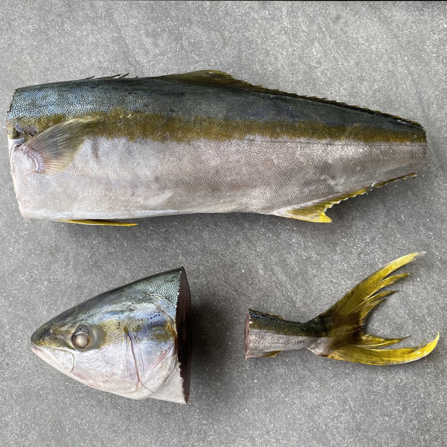 Frozen Box | Whole Yellowtail | Pickle Fish | Caught In Struisbaai