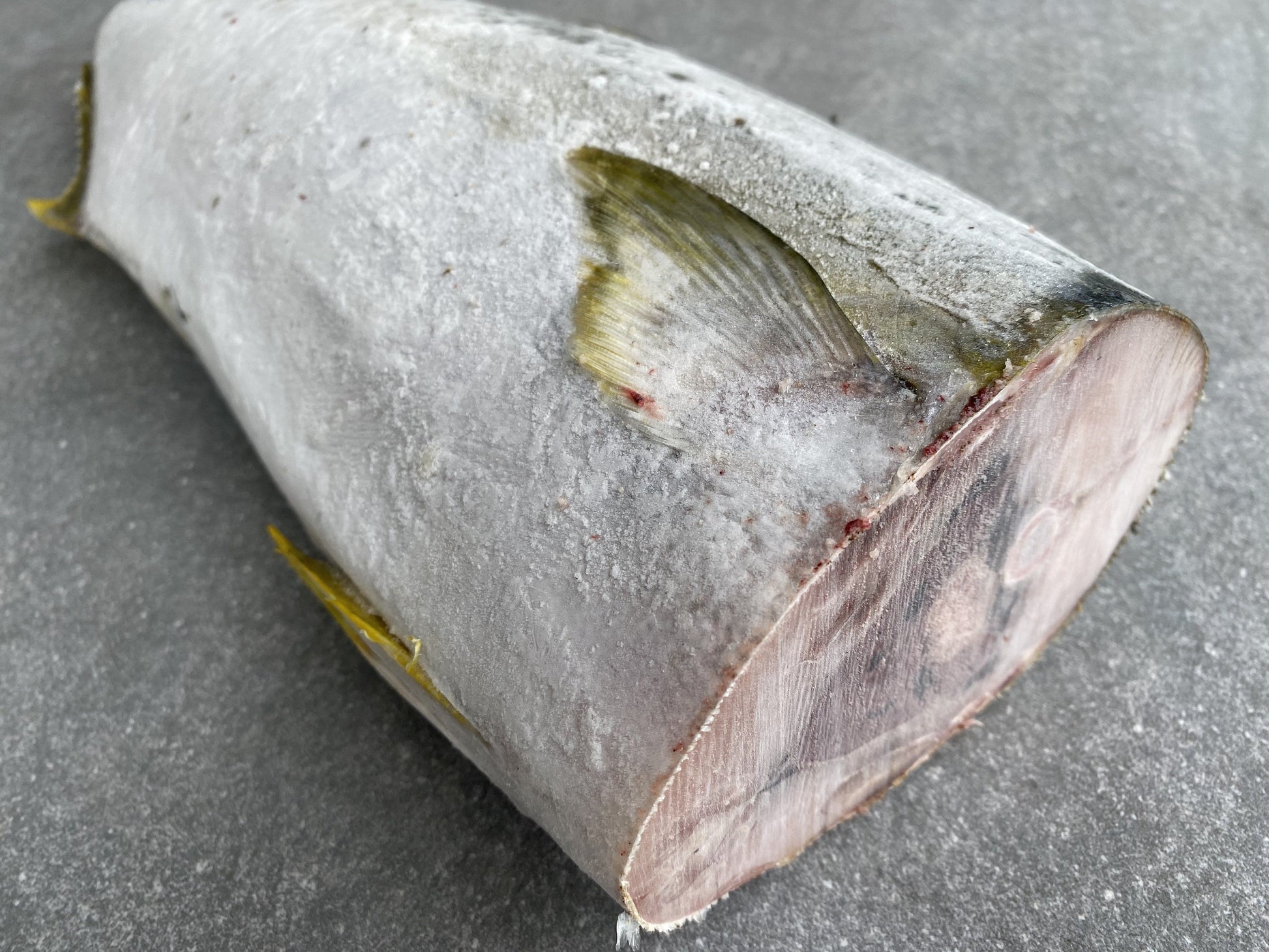 Frozen Box | Whole Yellowtail | Pickle Fish | Caught In Struisbaai