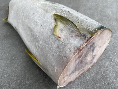 Frozen Box | Whole Yellowtail | Pickle Fish | Caught In Struisbaai