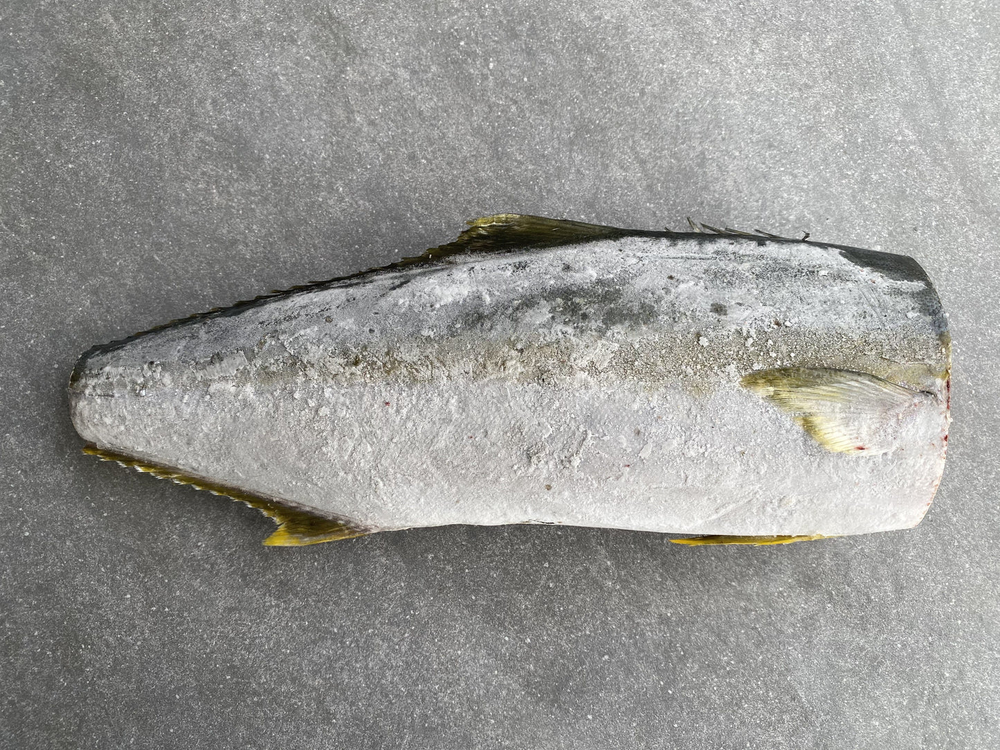 Frozen Box | Whole Yellowtail | Pickle Fish | Caught In Struisbaai