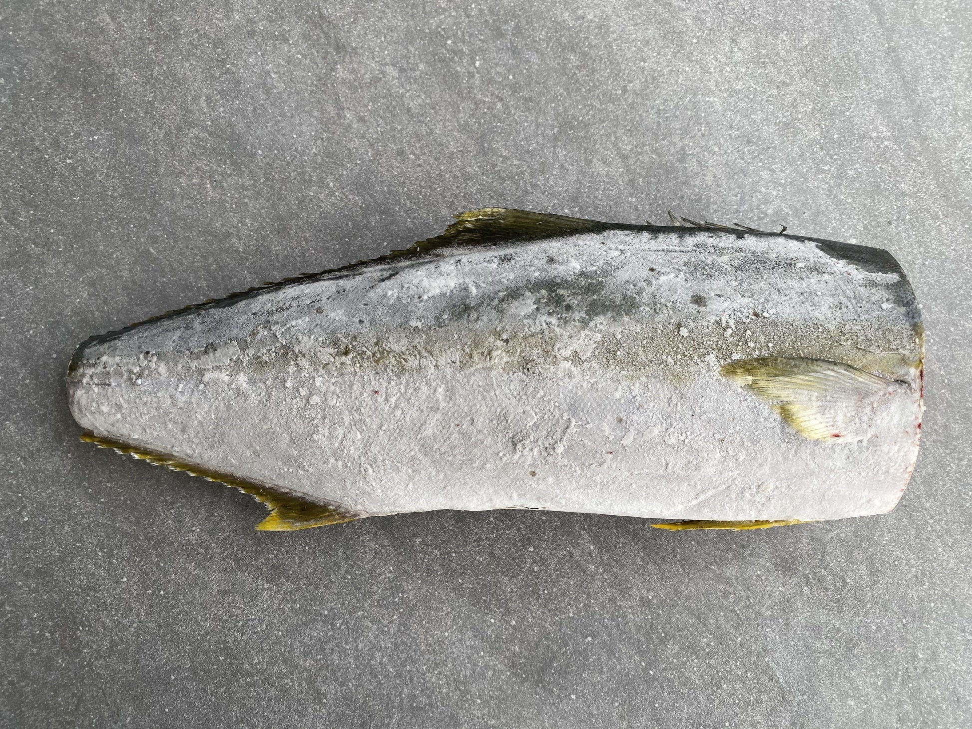 Frozen Box | Whole Yellowtail | Pickle Fish | Caught In Struisbaai
