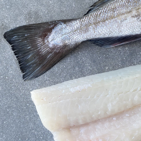 Hake Fillets | Fresh Box | 1.5kg | Caught Off Cape Point