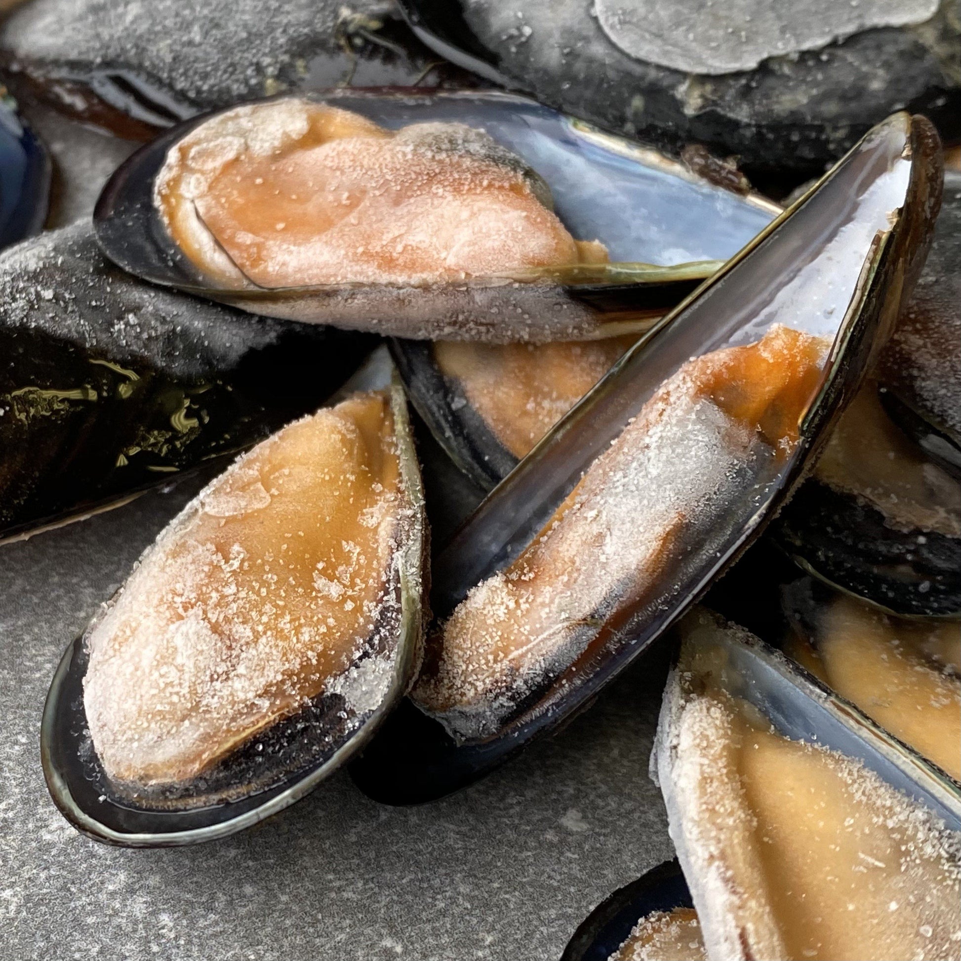 Half Shell Black Mussels Box  | Ready To Cook | Farmed On The West Coast | 1.6kg