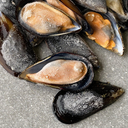 Half Shell Black Mussels Box  | Ready To Cook | Farmed On The West Coast | 1.6kg